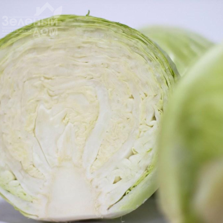 Рітейл F1 / Retail F1, 120-130 днів фото 3