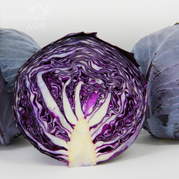 Корнет F1 / Kornet F1,85-90 днів фото 1