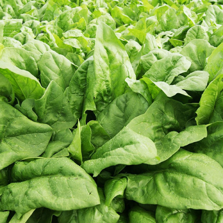 ПВ 1026 F1 / PV 1026 F1 фото 1