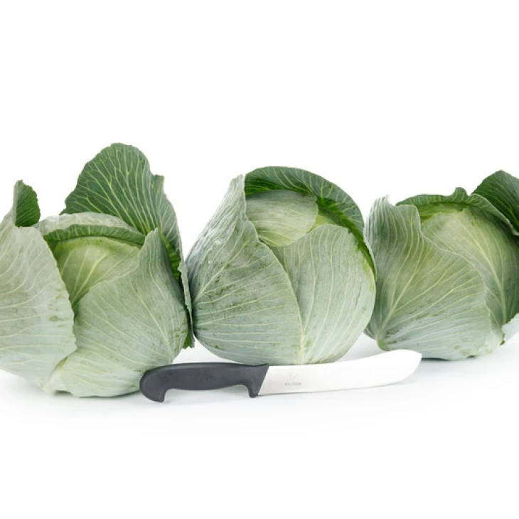 Владима F1 / Vladima F1, 130 дней фото 3