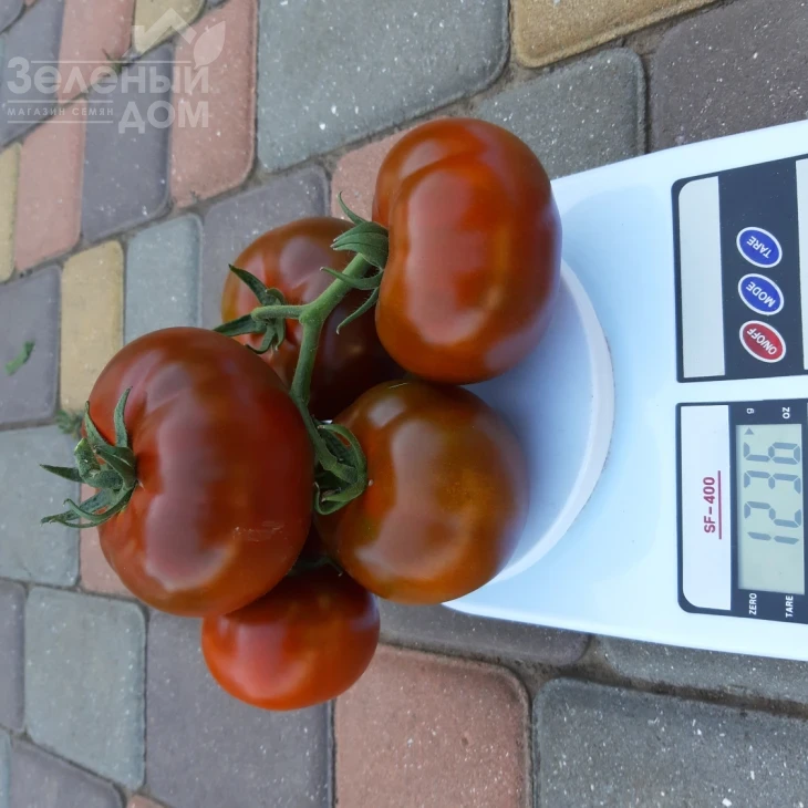 Керук F1 / Keruk F1, 70 дней фото 5