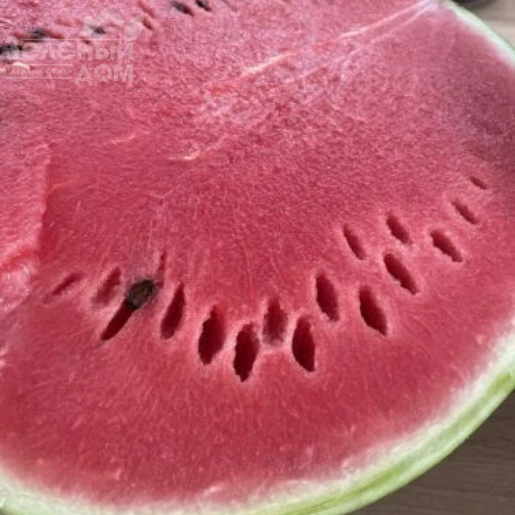 Лимпопо F1 / Limpopo F1, 72 дня фото 1