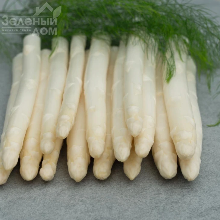 Приус F1 / Prius F1 фото 1