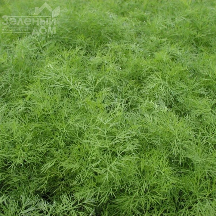 Ганак / Ganak фото 1