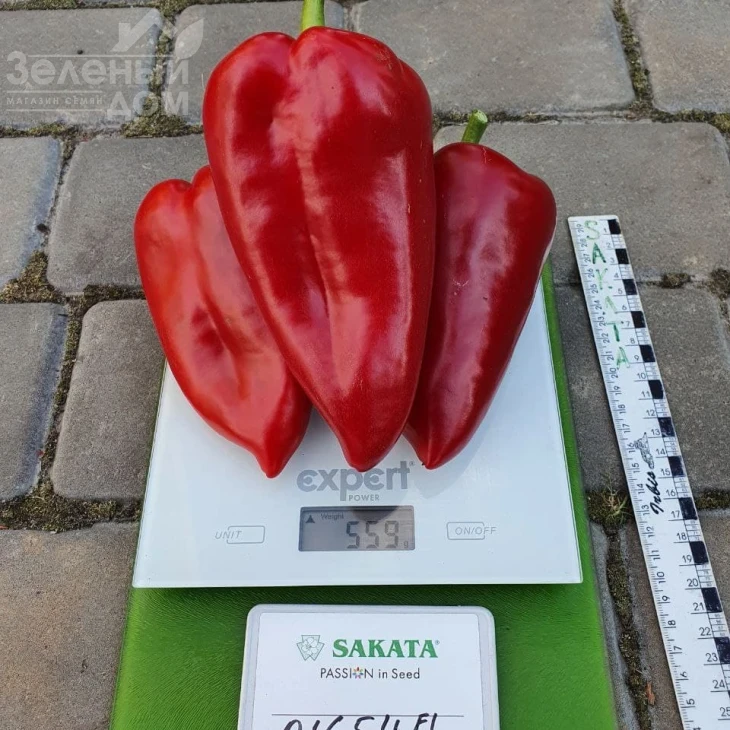 Ред Феррари F1 / Red Ferrari F1 фото 2