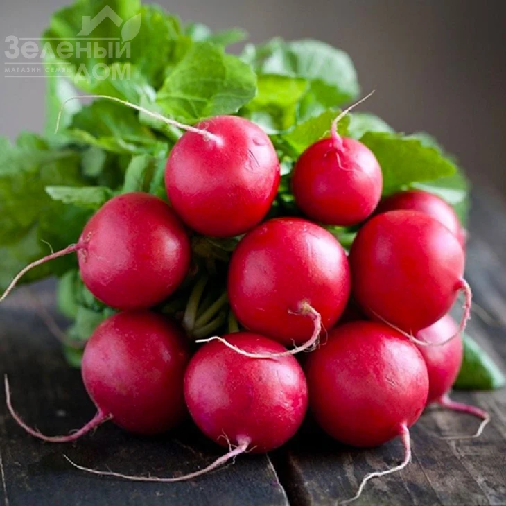 Диего F1 / Diego F1,22-23 дня фото 2