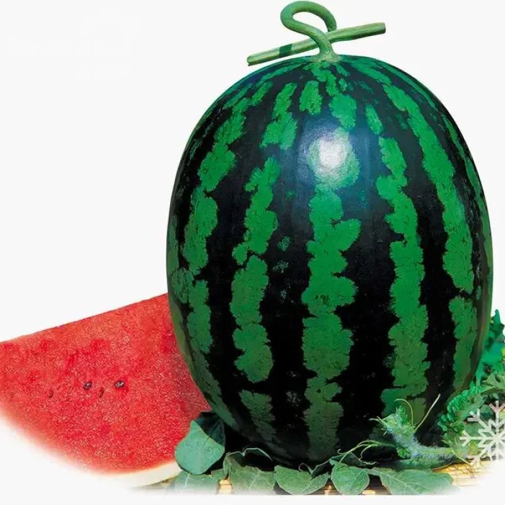 Май Хани F1 / My Hohey F1 фото 1