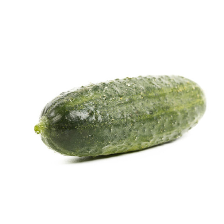 Дієз F1 / Diyez F1 фото 3