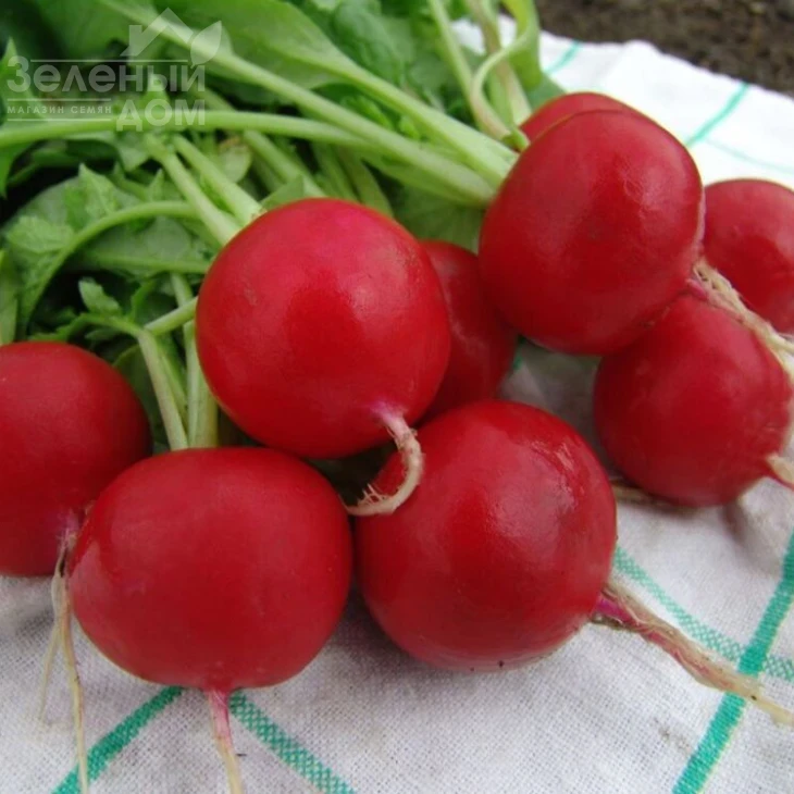 Эстер / Esther,31-34 дня фото 1