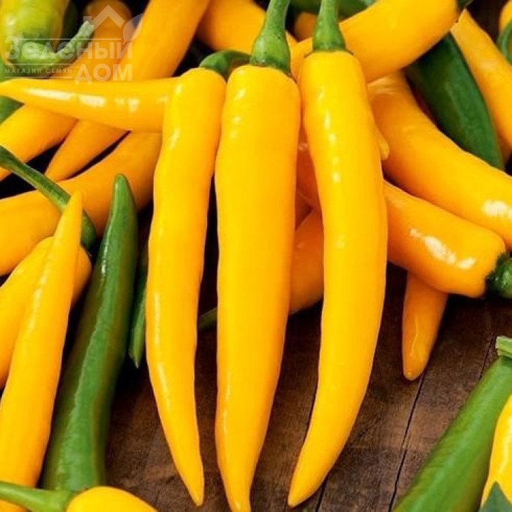 Харвей / Harvey фото 1