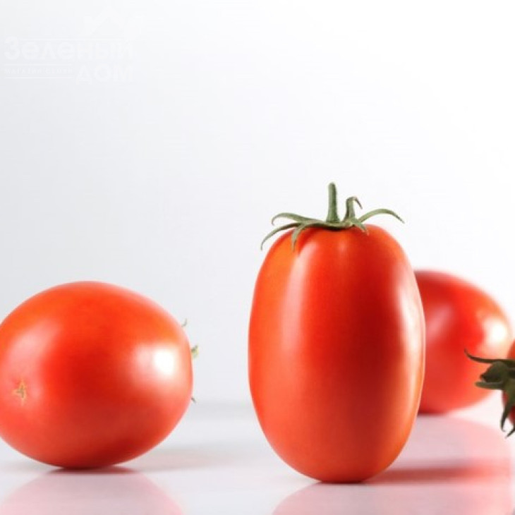 Куско F1 / Kusko F1, 72-78 днів фото 1