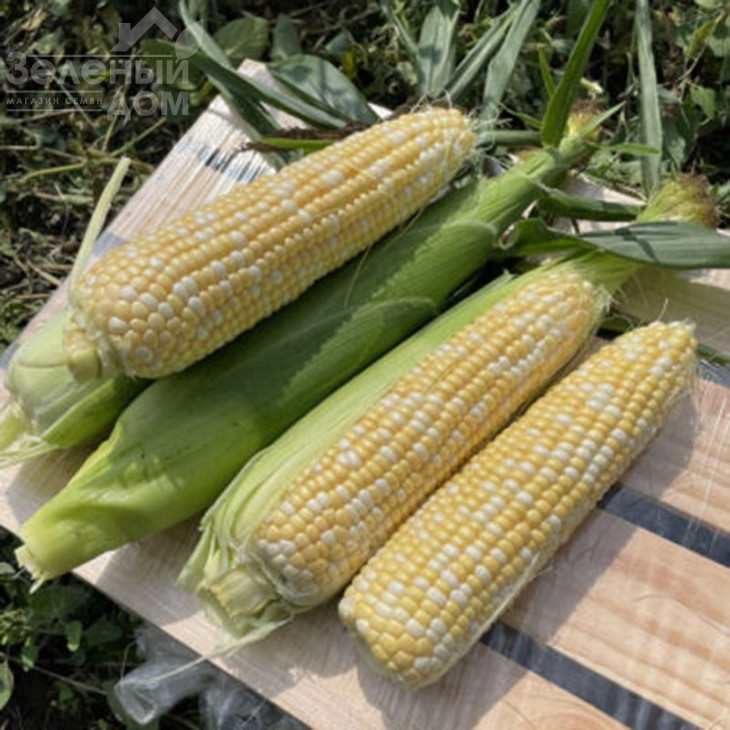 Дефендер F1 / Defender F1,74 дні фото 5