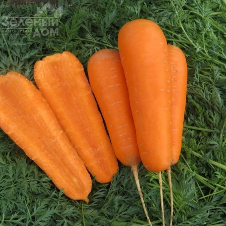 Боливар F1 / Bolivar F1,110-115 дней фото 1