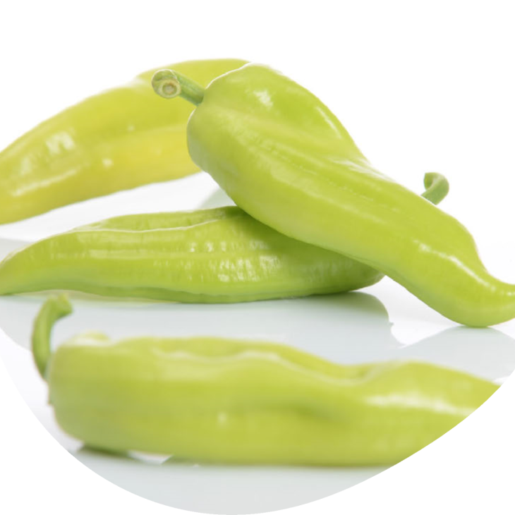 Фуджі F1 / Fudzhi F1  фото 1