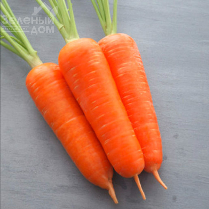 Амуріна F1 (TCH - 787) / Amourina F1 фото 1