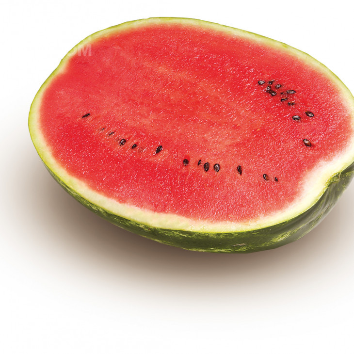 Топ Ган F1 / Top Han F1,62-64 дні фото 3