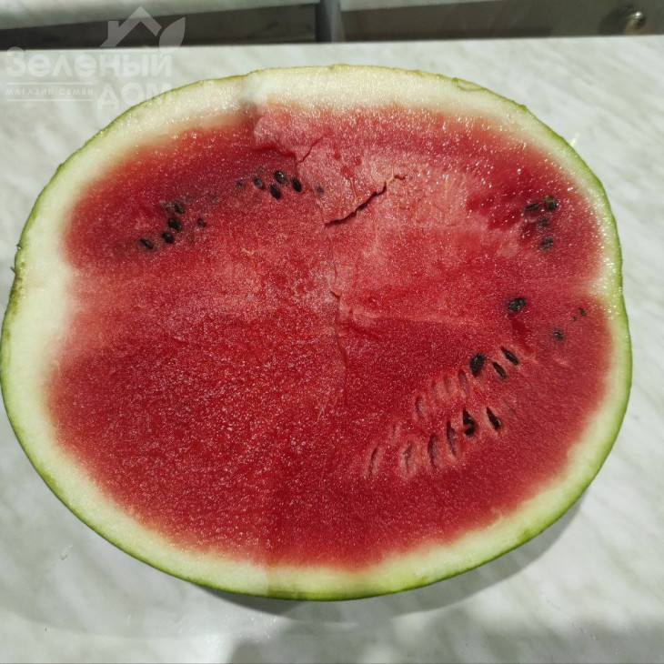 Харізма F1 / Kharizma F1 фото 2