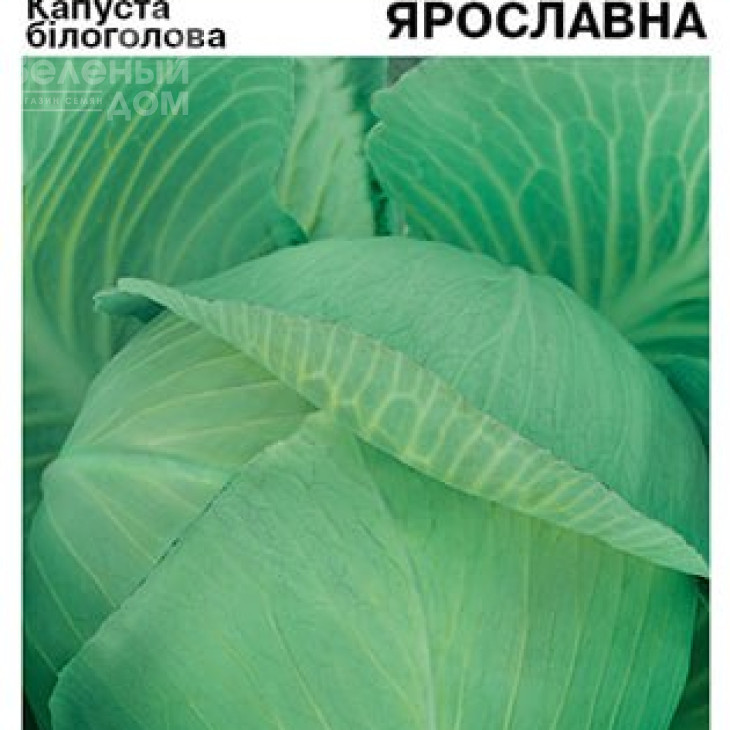 Ярославна / Yaroslavna фото 2