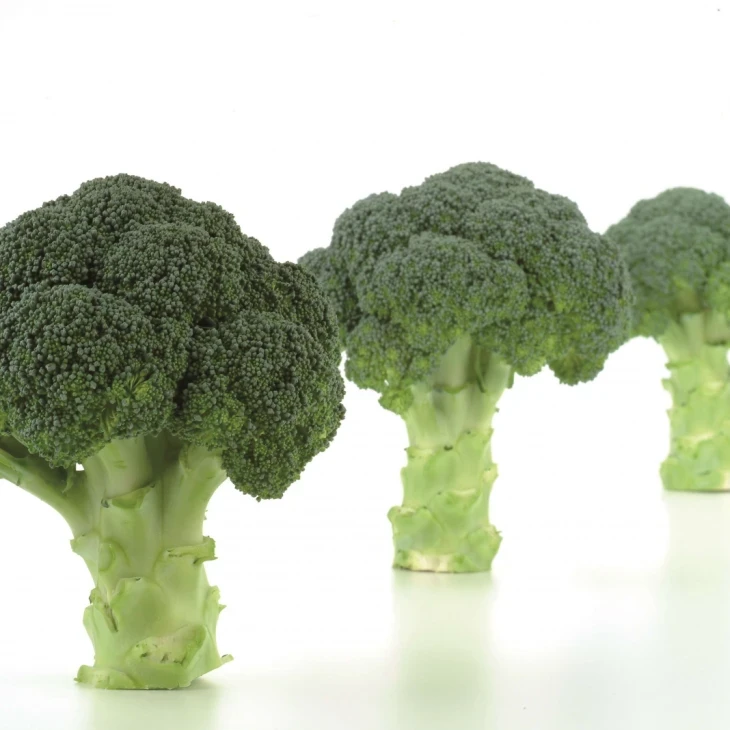 Нексос F1 / Naxos F1,75-80 дней фото 1