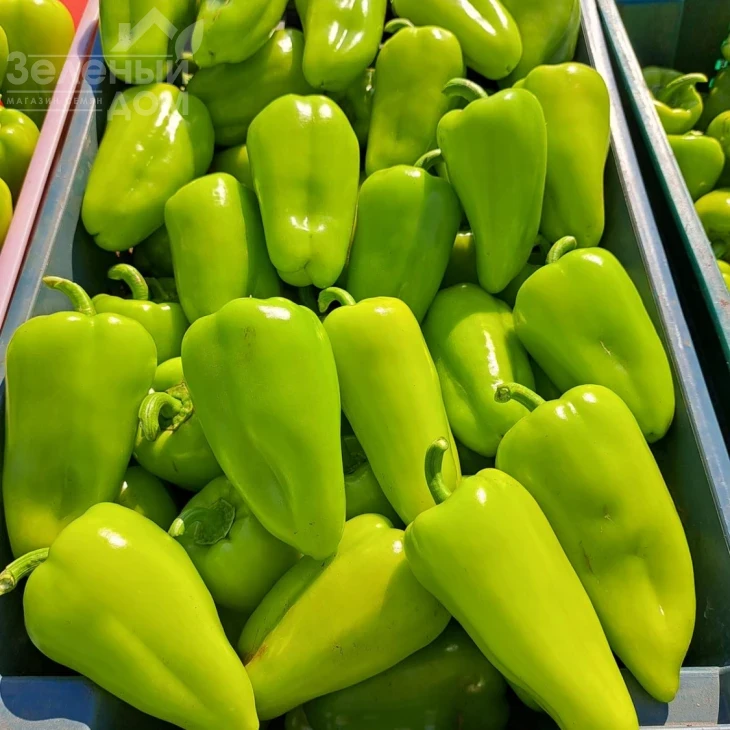 Пироуэт F1 / Pirouet F1  фото 1