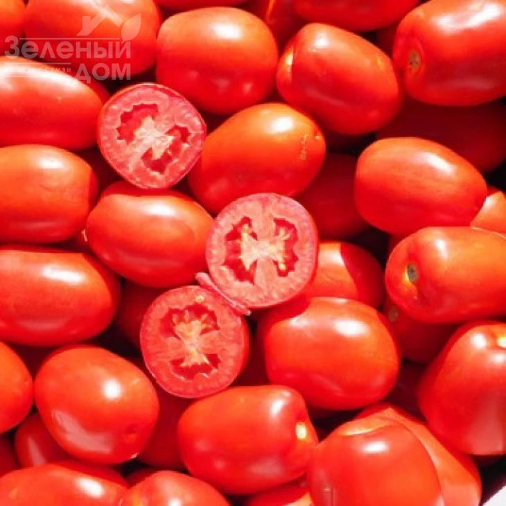 Сентоса F1 / Sentosa F1,85-90 дней фото 1