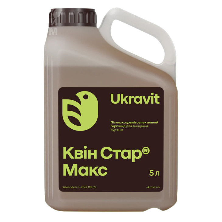 Квін Стар Макс / Kvin Star Maks фото 1