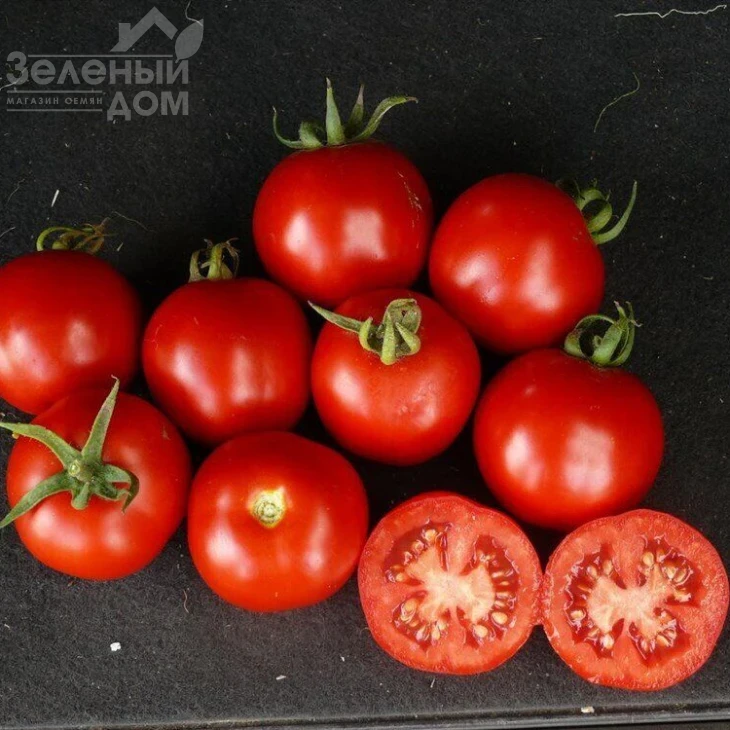 Партова F1 / Partova F1 фото 1