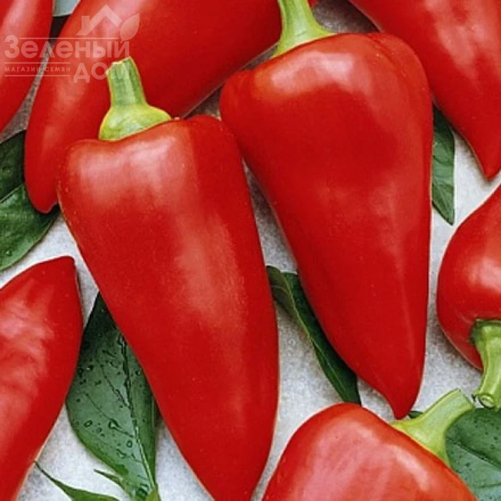 Диментио F1 / Dimentio F1,58-63 дня фото 1