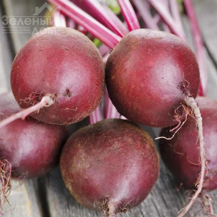 Ред Сан F1 / Red Sun F1,100-105 дней фото 1