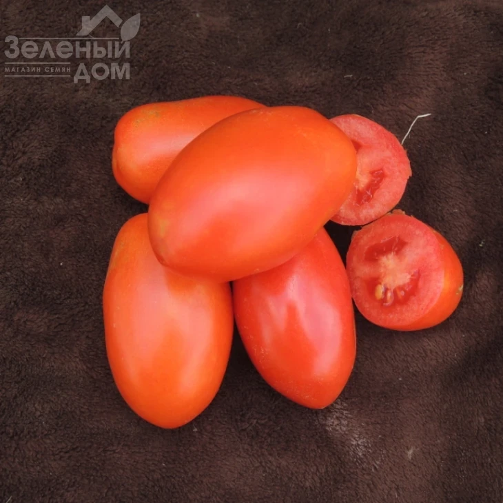 Сан Парадайс F1 / Sun Paradise F1, 110-115 дней фото 3