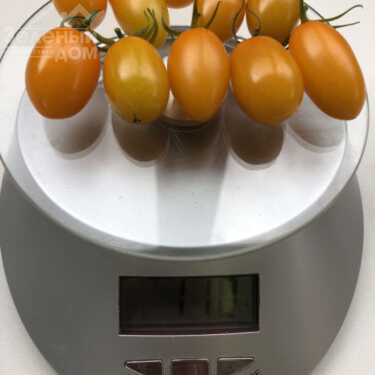 Мінікін F1 / Minikin F1, 100 днів фото 3