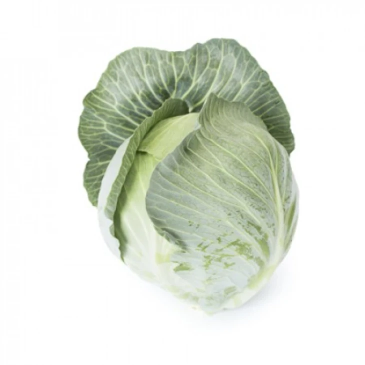 Аксиома F1 / Axioma F1,120-125 дней фото 1