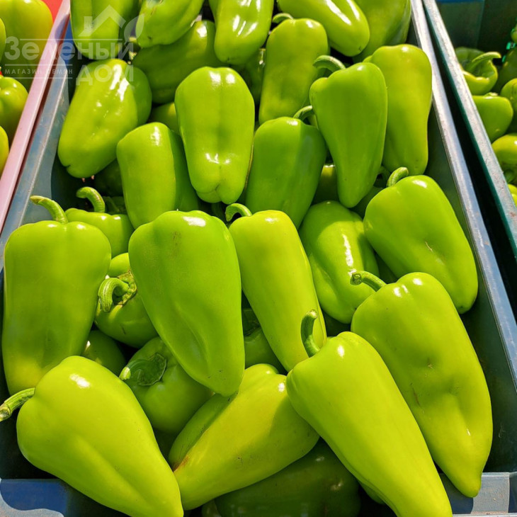 Піроует F1 / Pirouet F1 фото 1