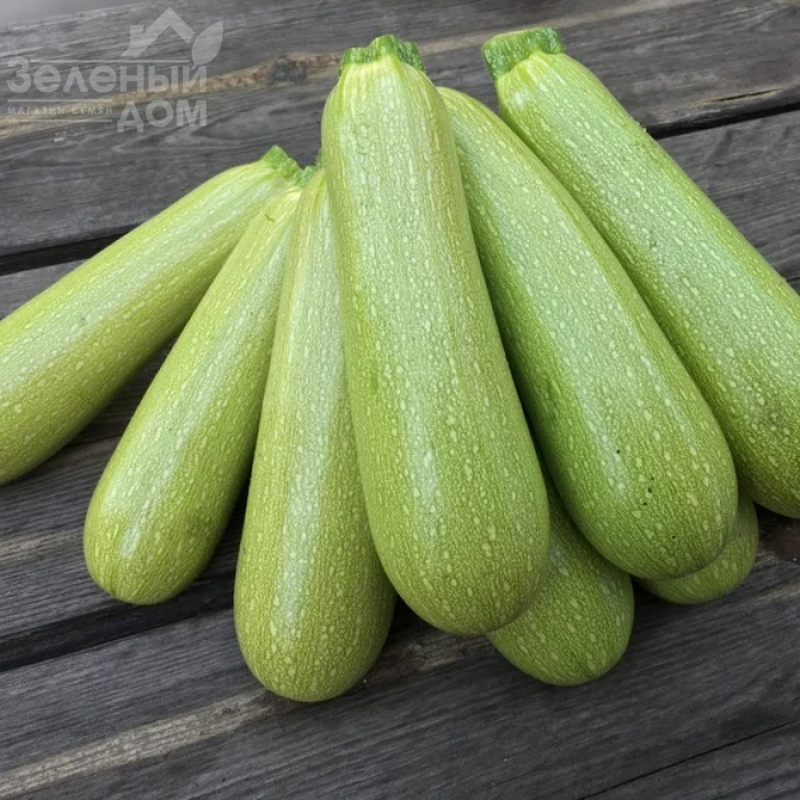 Марселла F1 / Marcella F1 фото 1