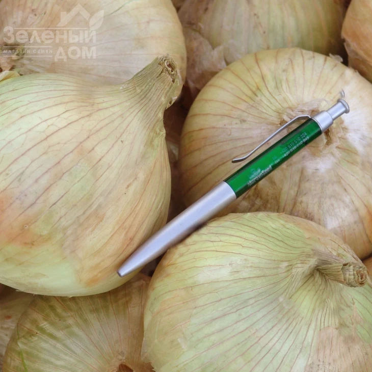 Глобо / Globo фото 1