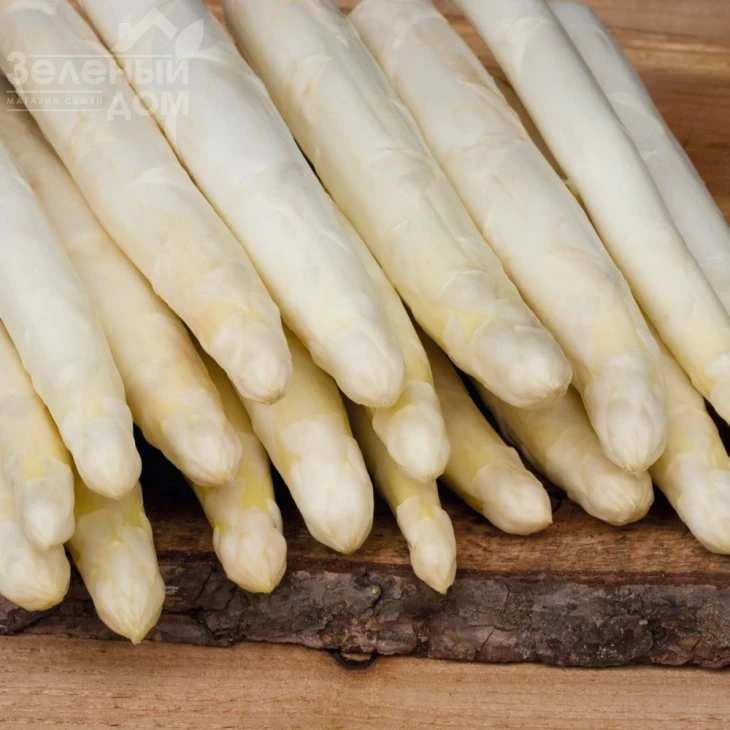 Сигнус F1 / Cygnus F1 фото 1