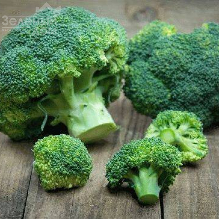 Монако F1 / Monaco F1,75-80 днів фото 4