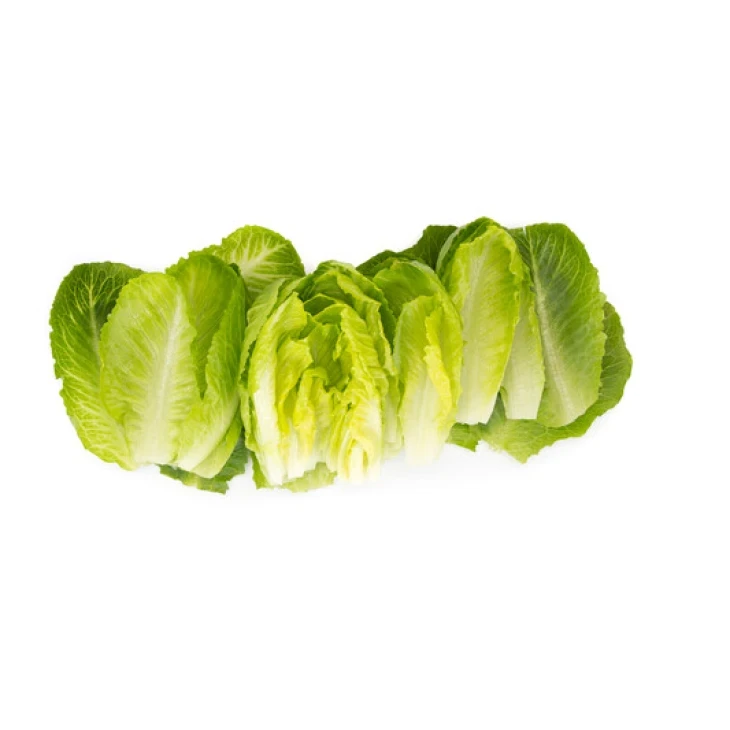 Тендита / Tendita фото 2