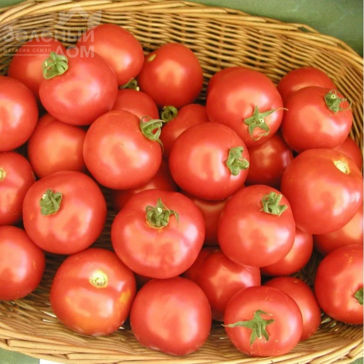 Торо F1 / Toro F1,60-70 дней фото 1