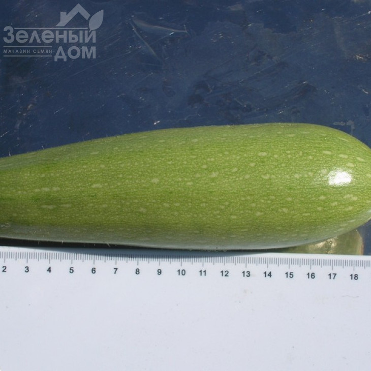 Асма F1 / Asma F1,40-45 днів фото 3