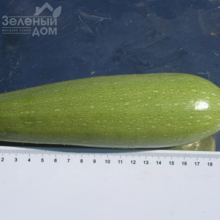 Асма F1 / Asma F1, 40-45 днів фото 3