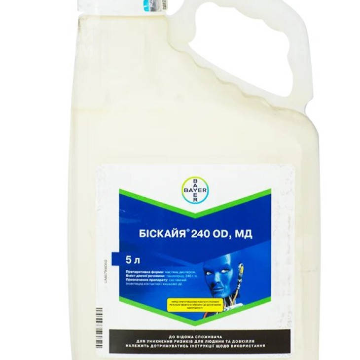 Біскайя / Biscaya фото 1