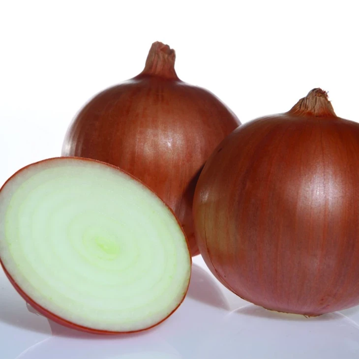 Утреро F1 / Utrero F1,120-125 дней фото 1