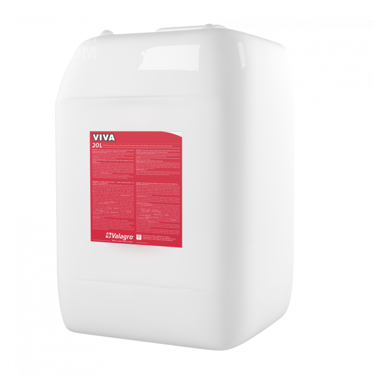 Віва / Viva фото 6