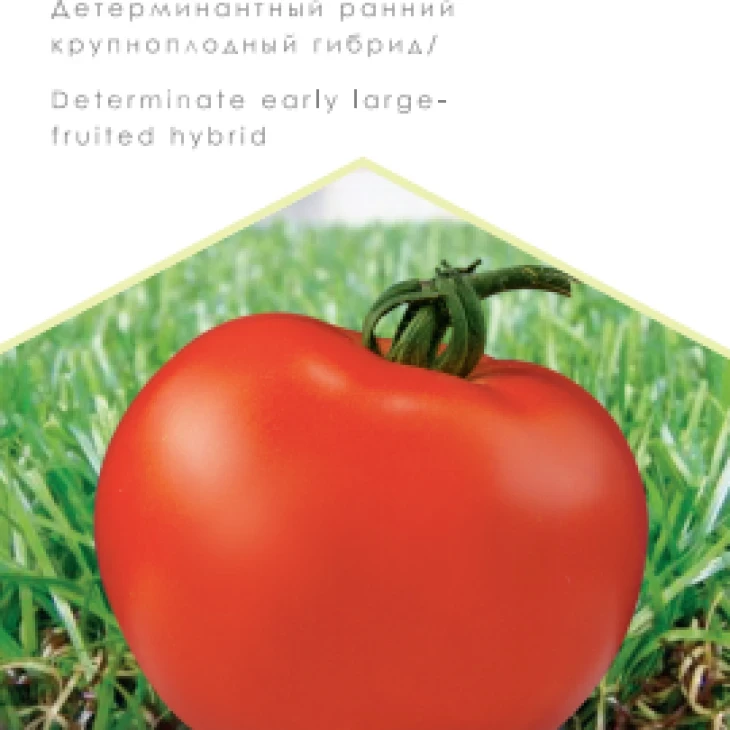 Верона F1 / Verona F1, 95-98 дней фото 1