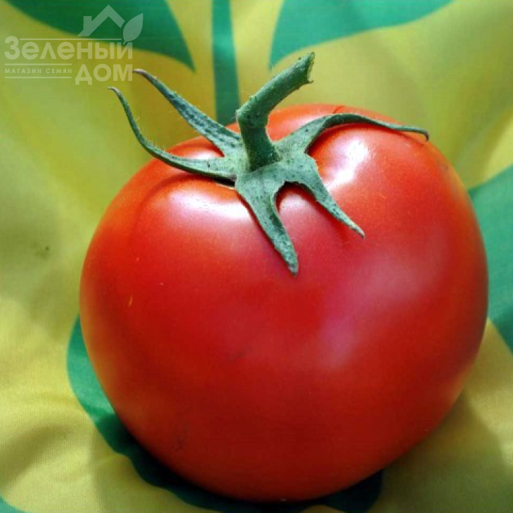 Немесіс F1 / Nemezis F1,100-110 днів фото 1