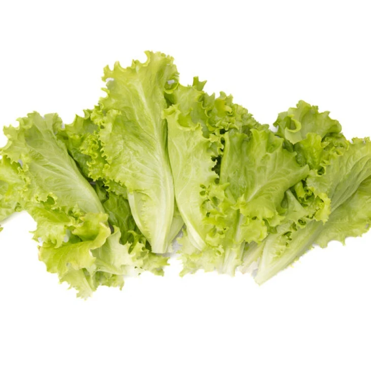 Афилион / Aphylion фото 1