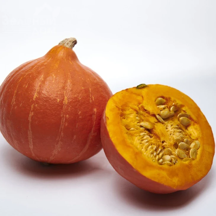 Колинки F1 / Kolinki F1  фото 2