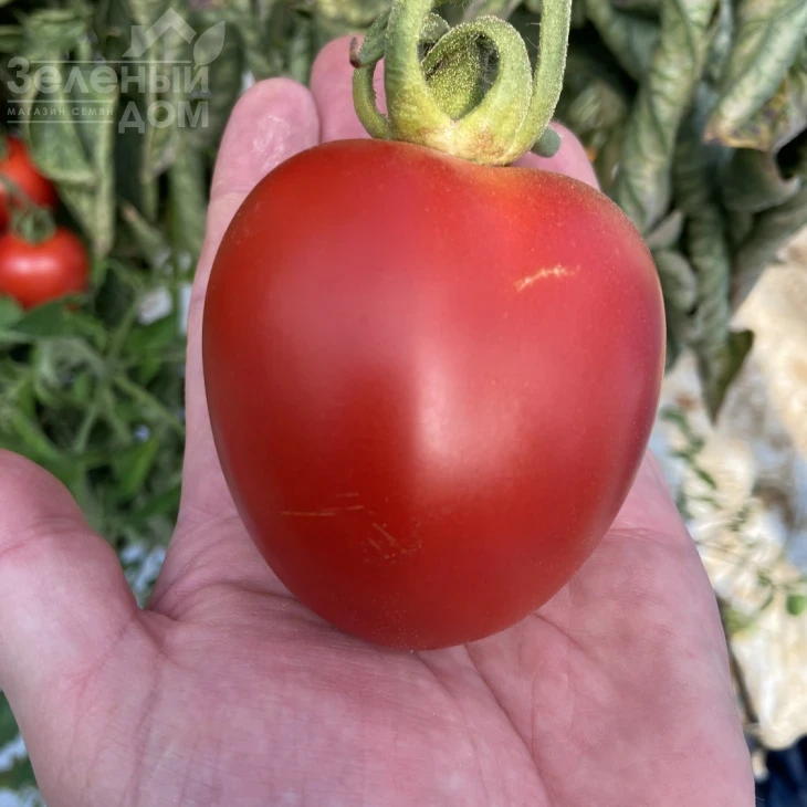 Бильбао F1 / Bilbao F1 фото 1