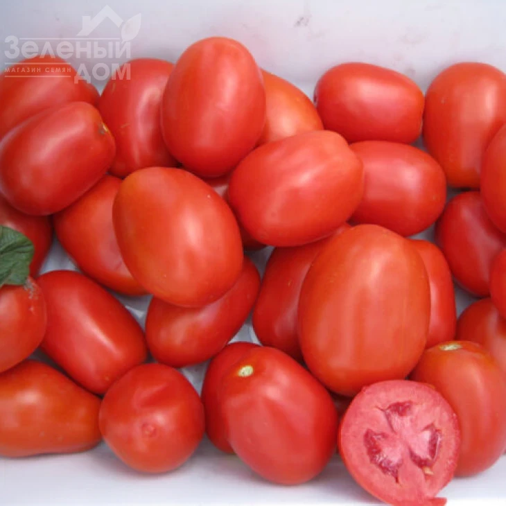 Платон F1 / Platon F1,116 дней фото 4